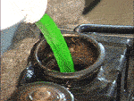 Fill fluids